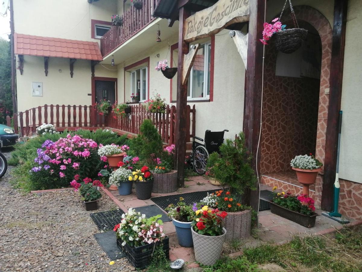 Jasionka Apartment Ustrzyki Dolne Exterior foto